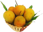 Rajshahi's famous Himsagar mango - Image 4