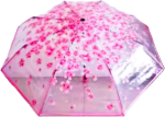 Fashionable Korean Transparent 3 Fold Imported Umbrella
